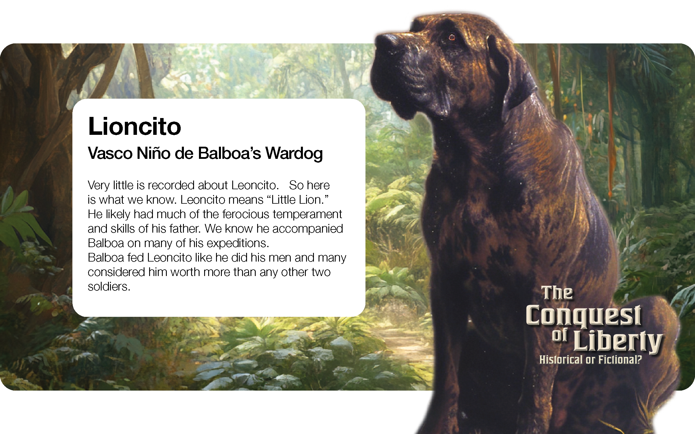 Lioncito